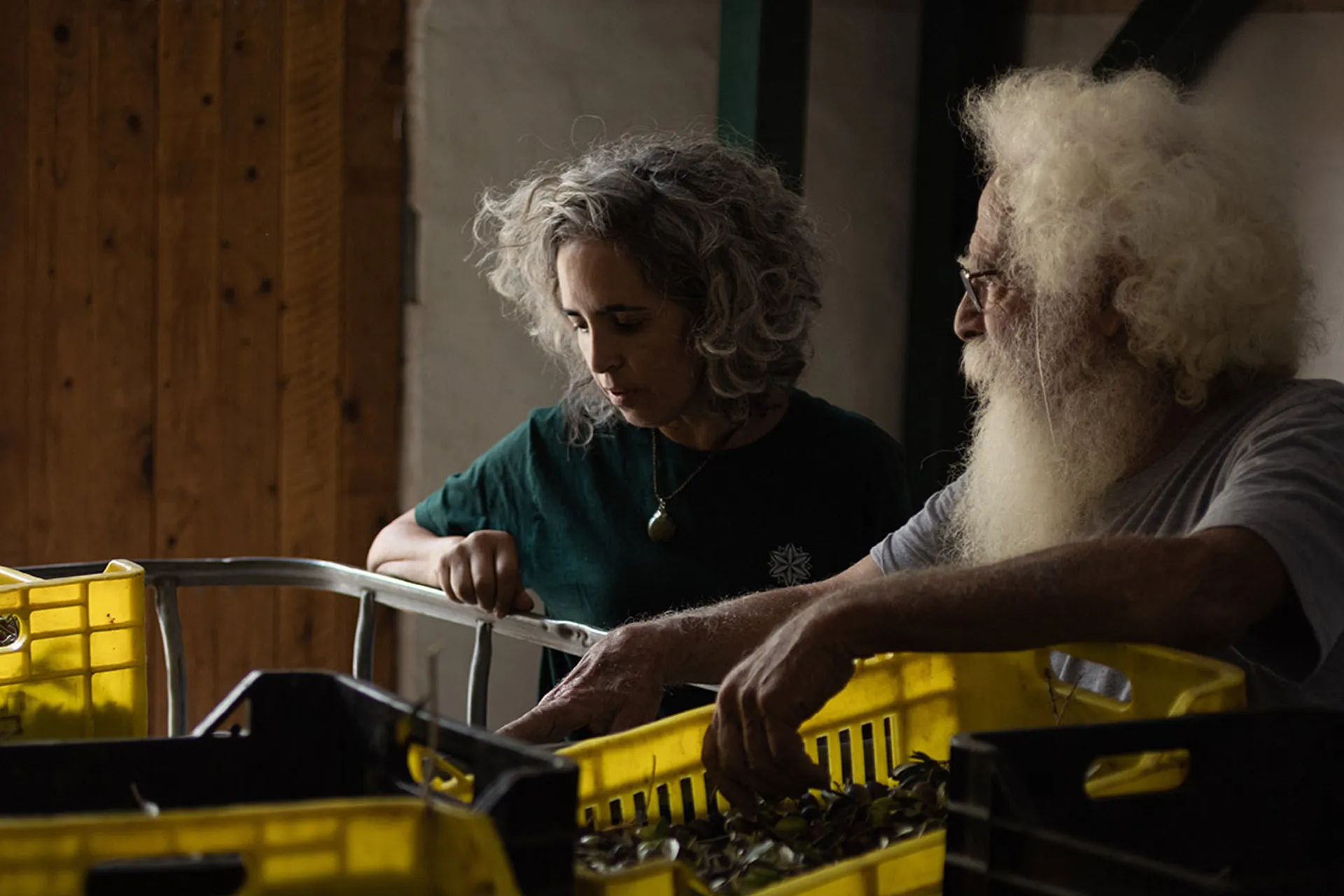 The Noy Meir family image